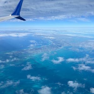 Meet your Posher, Scarlett